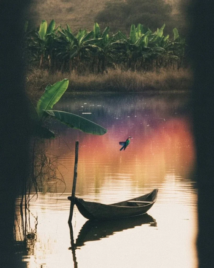 বাংলাদেশের গ্রামীণ প্রকৃতির একটি শান্ত পুকুরে বাঁধা নৌকার রঙিন দৃশ্য, যা জীবনের নীরব দর্শক হয়ে থাকার মনস্তাত্ত্বিক রূপককে তুলে ধরে।