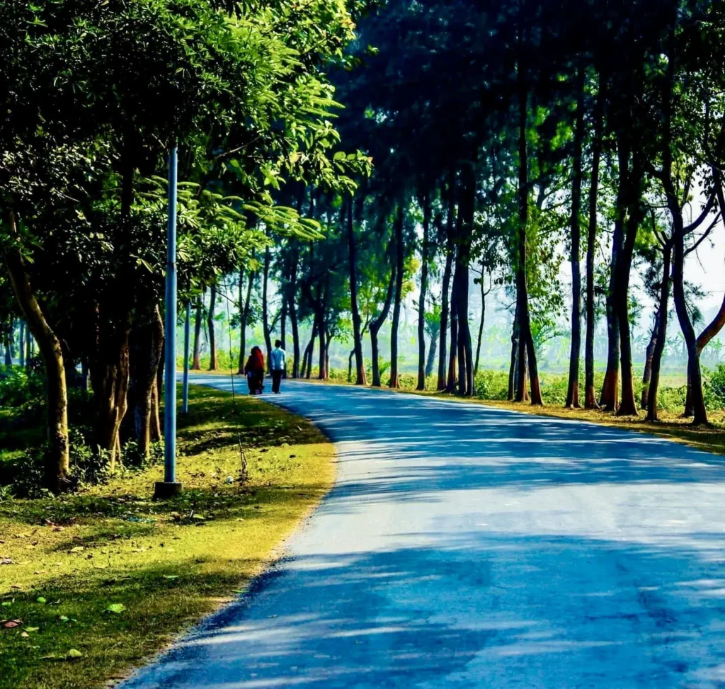সবুজ গাছের সারির মাঝে একটি রাস্তায় পাশাপাশি হেঁটে যাচ্ছে দুজন মানুষ