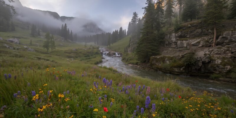 hayder voice living others success mountain valley
