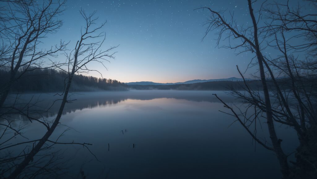 hayder voice technology loneliness empty lake metaphor