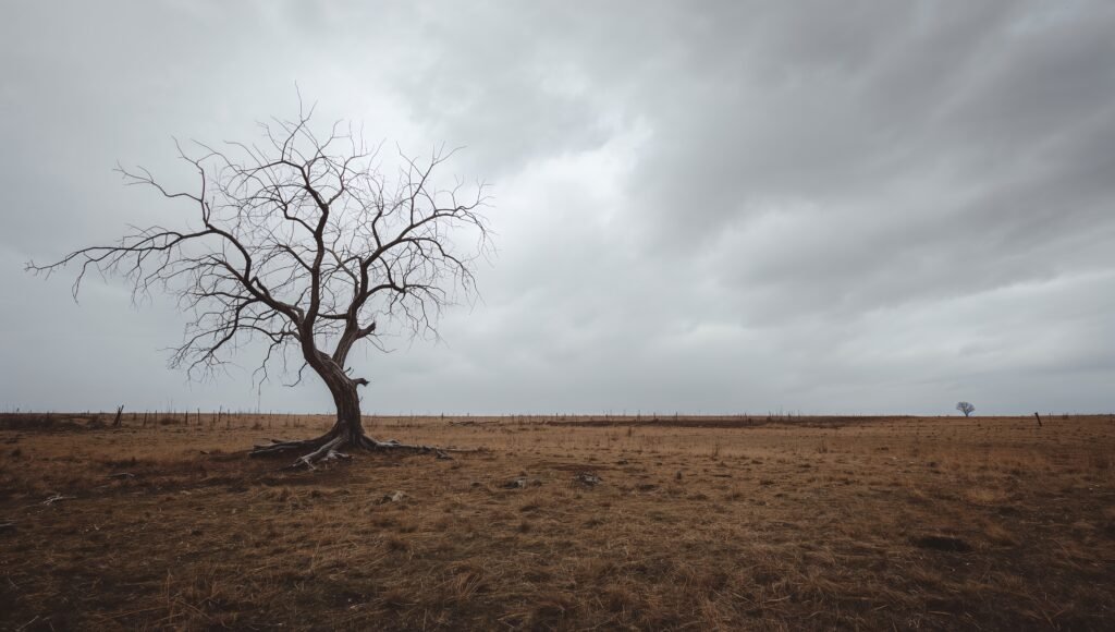 haydervoice dying alone isolation tree