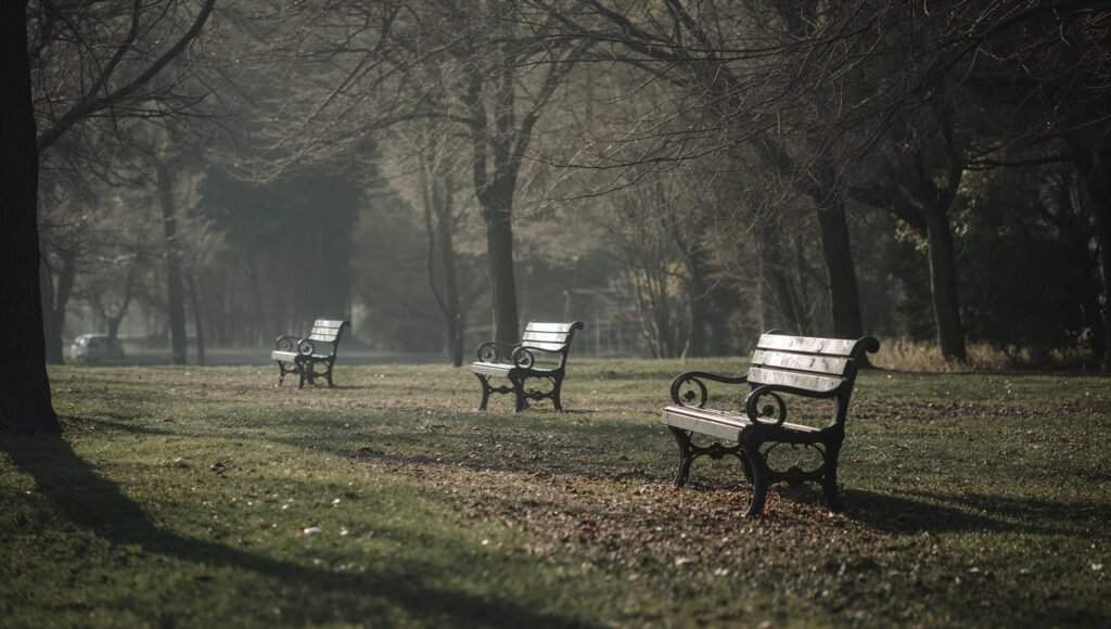 haydervoice lonelier crowds park