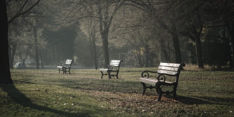 Loneliness in crowds park bench fog solitude