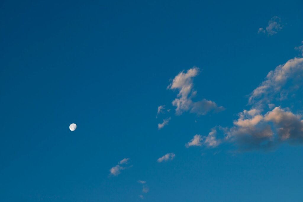 stardust consciousness, cosmic emptiness, human purpose, existential wonder, meaning makers
