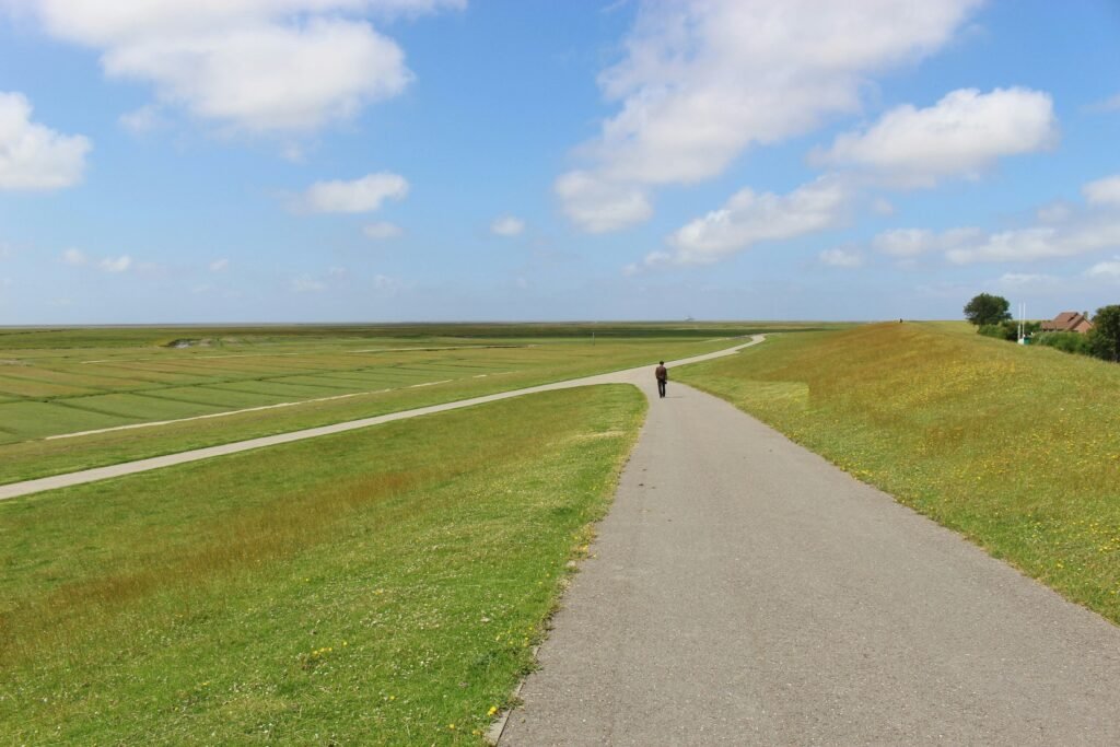 psychological freedom concept showing choice alternatives and moral decision making
