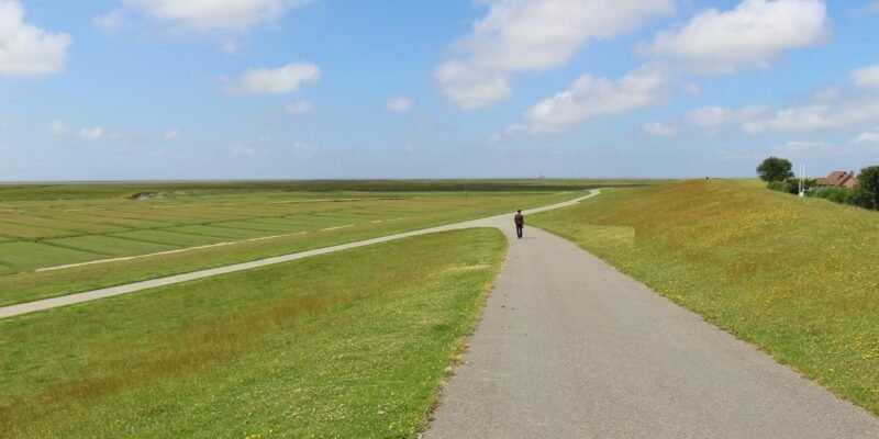 psychological freedom alternatives choice